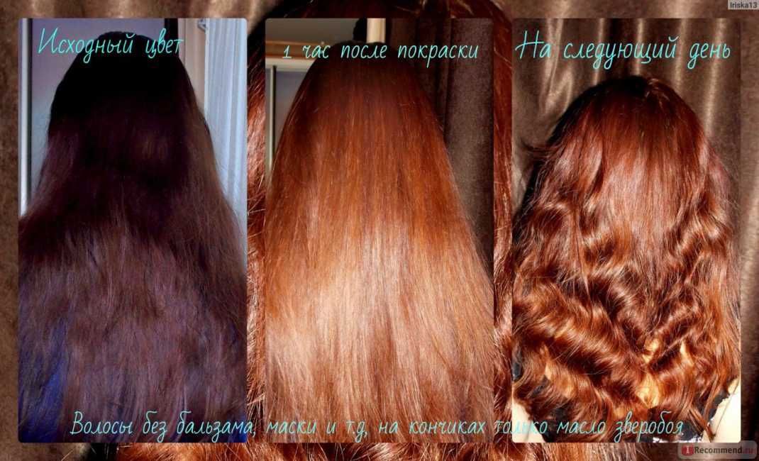 Как красить волосы хной? хна для волос: отзывы :: syl.ru
