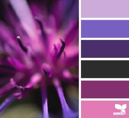 Сиреневый цвет: описание, схожесть и разница с фиолетовым тоном, применение в хозяйстве