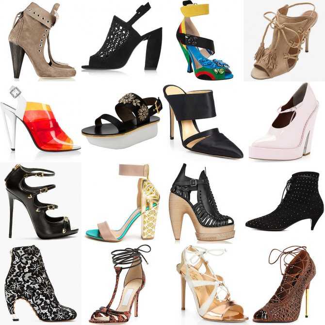Какая обувь должна быть в гардеробе женщины: виды женской обуви с фото и названиями