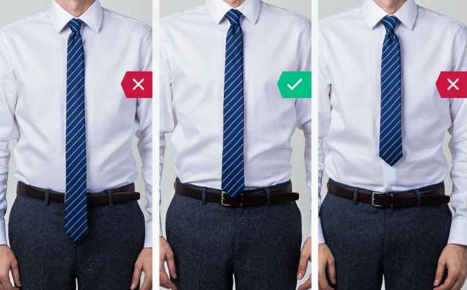 Как определиться с параметрами галстука Какие рубашки носят с галстуками Советы дизайнеров по выбору аксессуаров нужных параметров