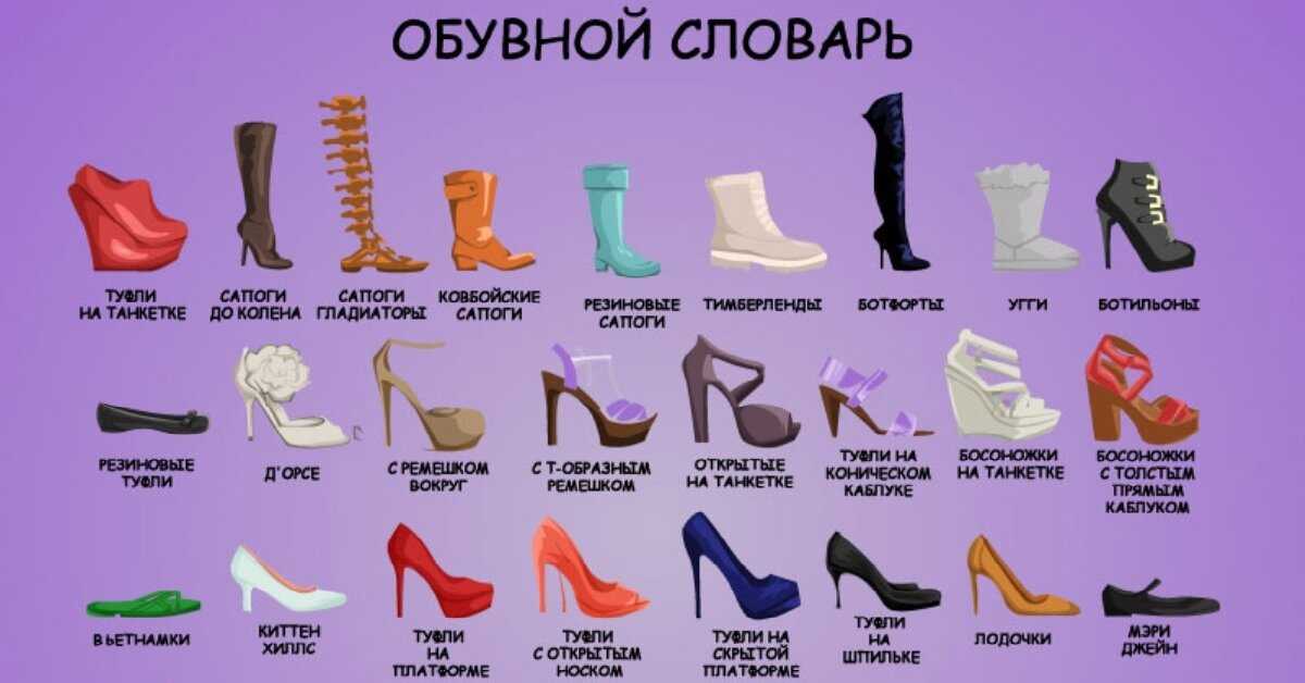 Виды женской обуви: названия, фото и описания