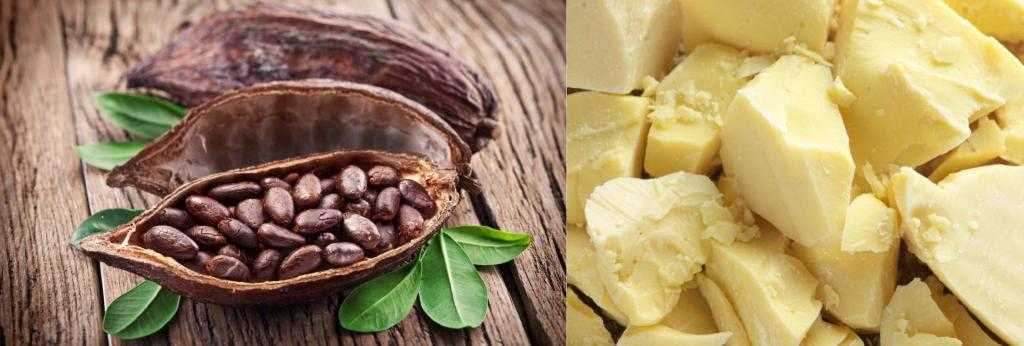 Масло какао для лица: отзывы косметологов, как использовать от морщин, полезные свойства