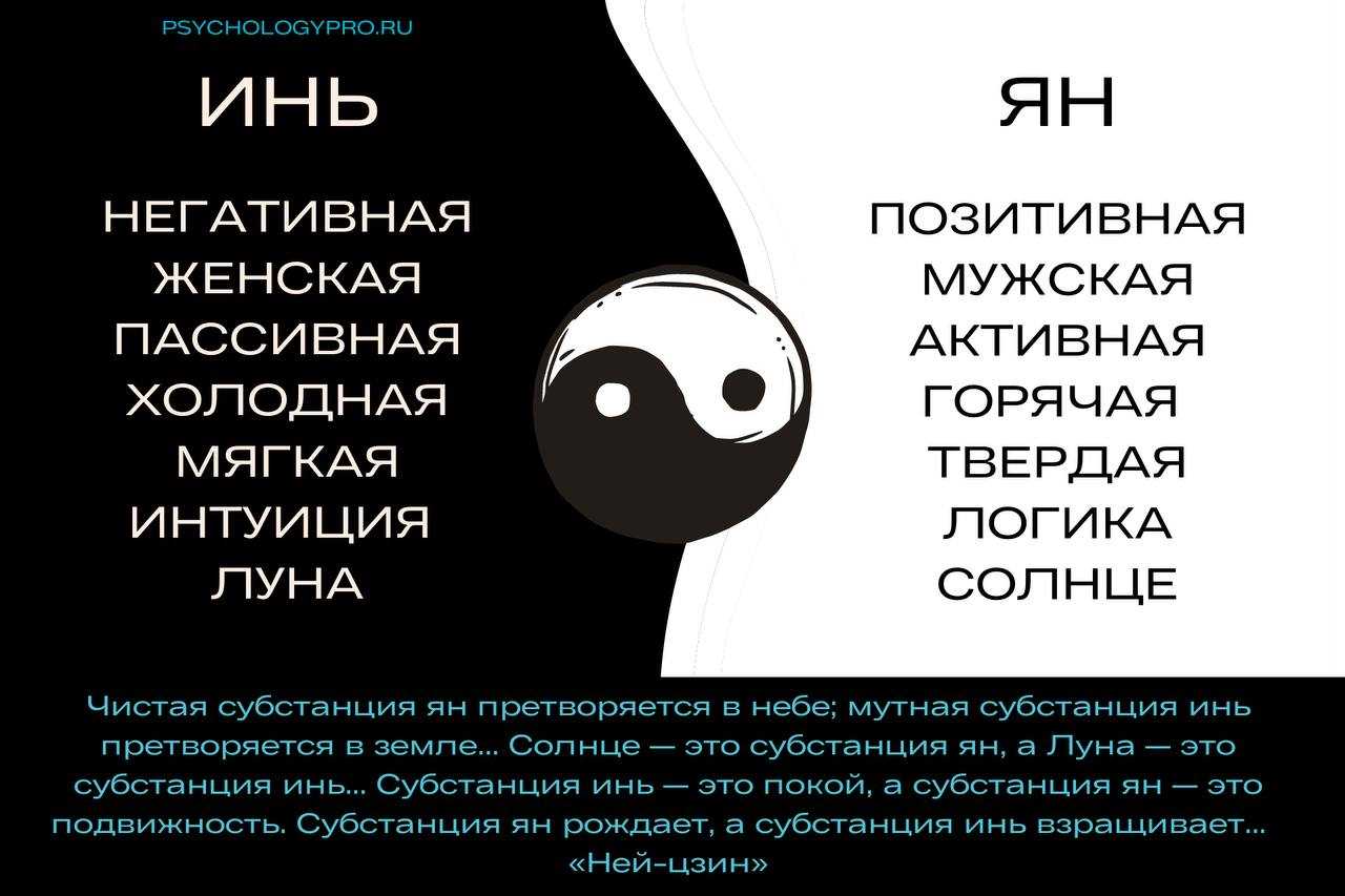 Инь что это. Инь Янь что означает. Что означает символ Инь Янь. Инь-Янь значение мужчина и женщина.