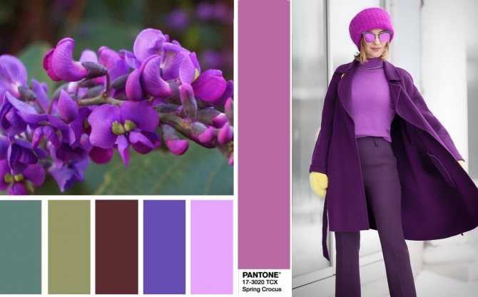 Фиолетовый цвет в одежде подходит неординарным и смелым девушкам, которые желают придать своему образу шик и индивидуальность Фиолетовый удачно соединяется с разными цветами и оттенками