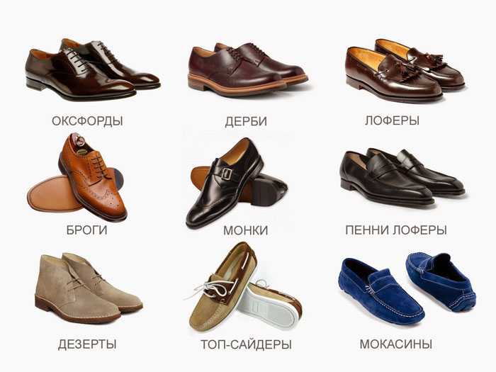 Все виды мужской обуви с названиями и картинками