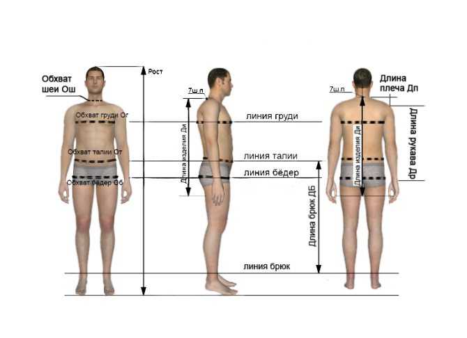 Как определить размер мужских трусов и плавок, таблицы размеров