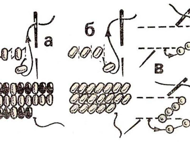 Вышивка бисером на одежде (схемы и фото)