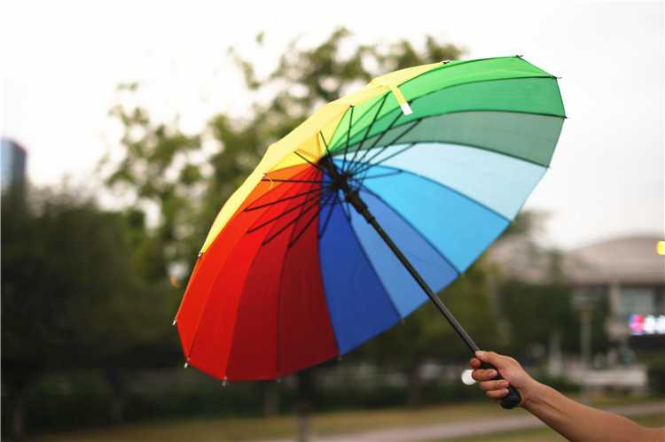 Самые прочные зонты в россии 2021 года — надежные модели и хитрости выбора