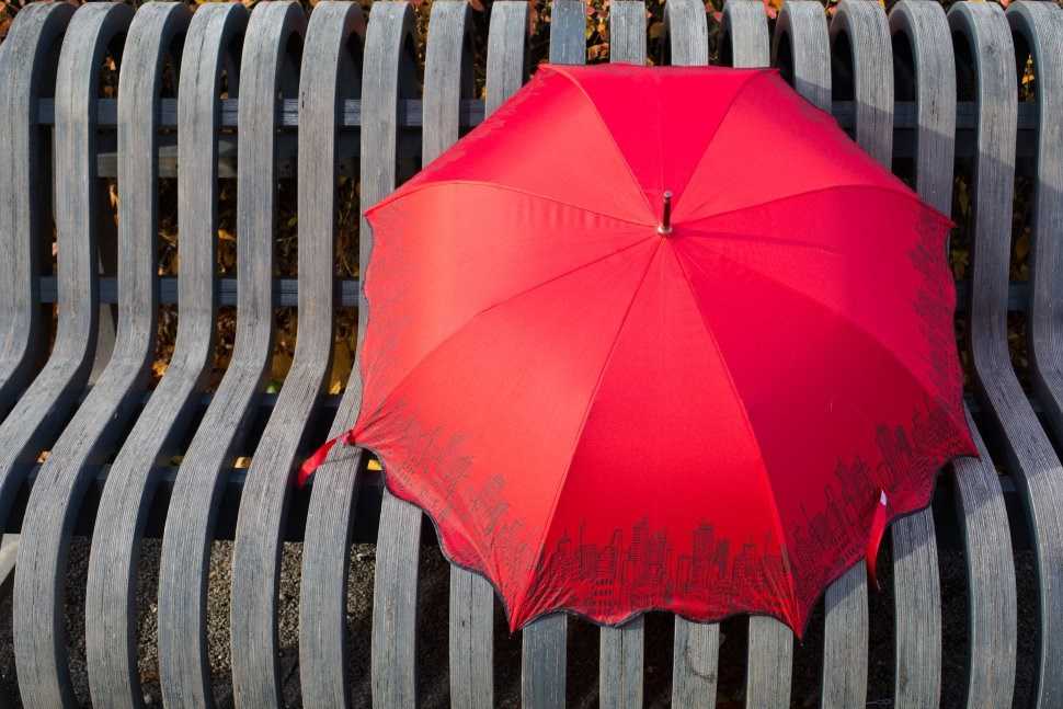 Топ-10: рейтинг лучших зонтов по качеству и надежности 2021