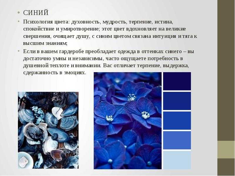 Голубой цвет в одежде: что означает синий цвет, кому подходит, с чем носить и как сочетать, примеры вечерний и повседневных образов