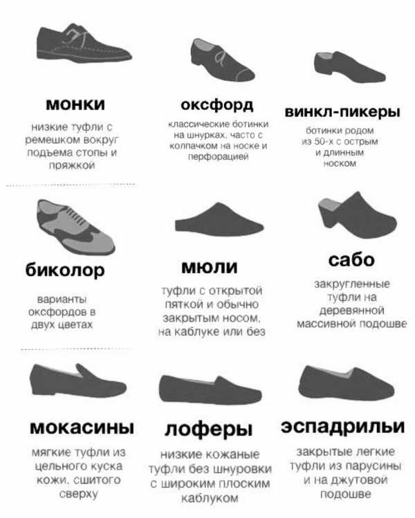 Классификация женской обуви, описание видов и моделей